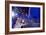 DEM 2016 Convention-Carolyn Kaster-Framed Photographic Print