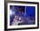 DEM 2016 Convention-Carolyn Kaster-Framed Photographic Print