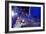 DEM 2016 Convention-Carolyn Kaster-Framed Photographic Print