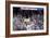 DEM 2016 Convention-Andrew Harnik-Framed Photographic Print