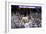 DEM 2016 Convention-Andrew Harnik-Framed Photographic Print