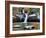 Demimba-Jim Crotty-Framed Photographic Print