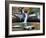 Demimba-Jim Crotty-Framed Photographic Print