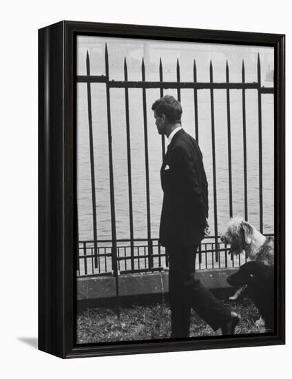 Democratic Candidate For New York Senator, Robert F. Kennedy with Dogs at Gracie Mansion-John Loengard-Framed Premier Image Canvas