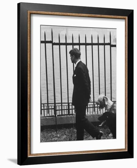 Democratic Candidate For New York Senator, Robert F. Kennedy with Dogs at Gracie Mansion-John Loengard-Framed Photographic Print