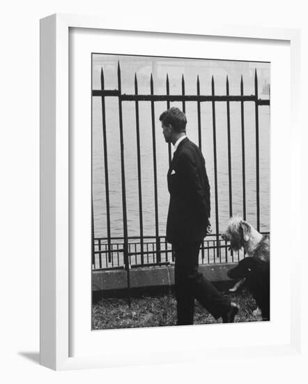 Democratic Candidate For New York Senator, Robert F. Kennedy with Dogs at Gracie Mansion-John Loengard-Framed Photographic Print