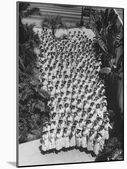 Democratic 'Golden Girls', Hostesses For Democratic National Convention Ready to Greet Delegates-J^ R^ Eyerman-Mounted Photographic Print