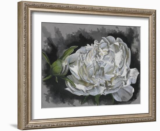 Demure-Barbara Keith-Framed Giclee Print