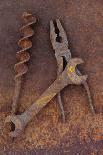 Rusty Old Double-headed Spanner Lying Next To Large Drill Bit And Rusty Pliers On Rusty Metal Sheet-Den Reader-Photographic Print