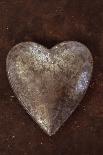 Silver Heart-Den Reader-Photographic Print
