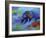 Denali Grizzly-Marion Rose-Framed Giclee Print