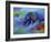 Denali Grizzly-Marion Rose-Framed Giclee Print