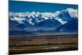 Photographic Print