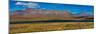 Denali Highway, Route 8, offers views of Mt.Deborah, Mnt. Hess Mountain, & Mt. Hayes Alaska, Alaska-null-Mounted Photographic Print