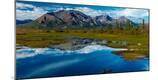 Premium Photographic Print