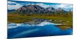 Photographic Print