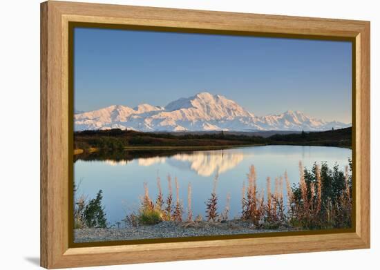 Denali Mountain and Reflection Pond-lijuan-Framed Premier Image Canvas