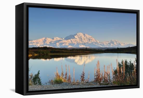 Denali Mountain and Reflection Pond-lijuan-Framed Premier Image Canvas