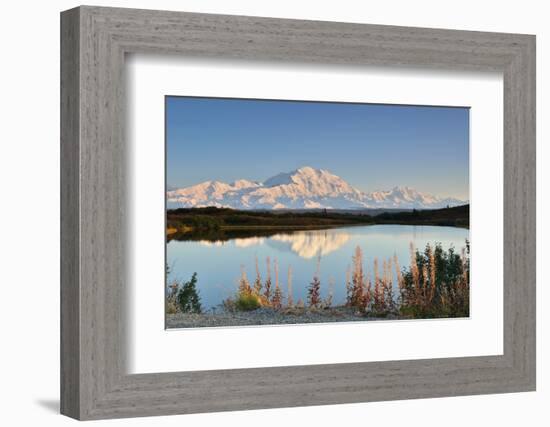 Denali Mountain and Reflection Pond-lijuan-Framed Photographic Print