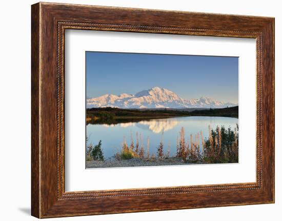 Denali Mountain and Reflection Pond-lijuan-Framed Photographic Print