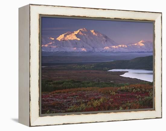Denali National Park near Wonder Lake, Alaska, USA-Charles Sleicher-Framed Premier Image Canvas