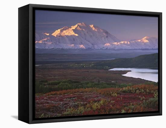 Denali National Park near Wonder Lake, Alaska, USA-Charles Sleicher-Framed Premier Image Canvas