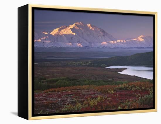 Denali National Park near Wonder Lake, Alaska, USA-Charles Sleicher-Framed Premier Image Canvas