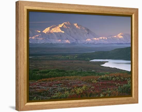 Denali National Park near Wonder lake, Alaska, USA-Charles Sleicher-Framed Premier Image Canvas