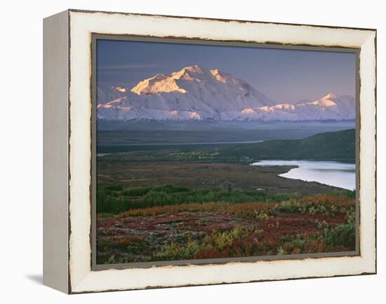 Denali National Park near Wonder lake, Alaska, USA-Charles Sleicher-Framed Premier Image Canvas