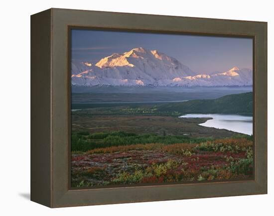 Denali National Park near Wonder lake, Alaska, USA-Charles Sleicher-Framed Premier Image Canvas