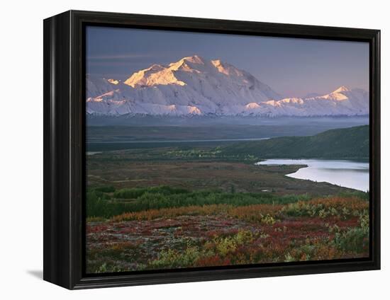 Denali National Park near Wonder lake, Alaska, USA-Charles Sleicher-Framed Premier Image Canvas