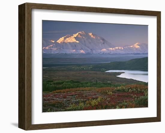 Denali National Park near Wonder lake, Alaska, USA-Charles Sleicher-Framed Photographic Print