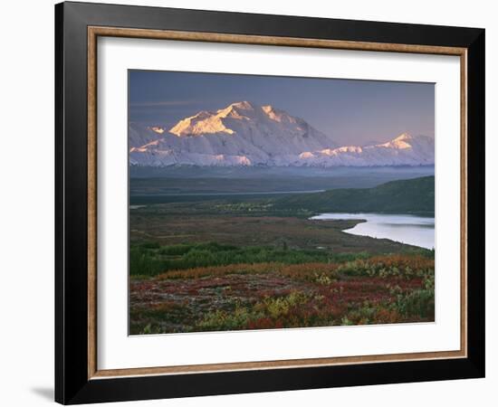 Denali National Park near Wonder lake, Alaska, USA-Charles Sleicher-Framed Photographic Print