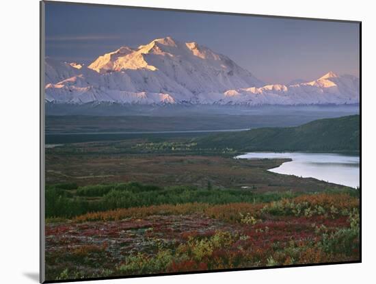 Denali National Park near Wonder lake, Alaska, USA-Charles Sleicher-Mounted Photographic Print