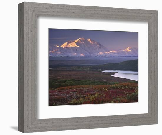 Denali National Park near Wonder Lake, Alaska, USA-Charles Sleicher-Framed Photographic Print