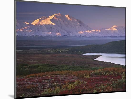 Denali National Park near Wonder Lake, Alaska, USA-Charles Sleicher-Mounted Photographic Print