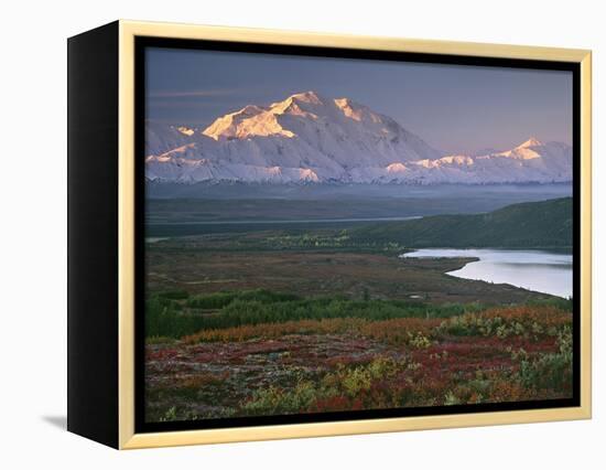 Denali National Park near Wonder lake, Alaska, USA-Charles Sleicher-Framed Premier Image Canvas