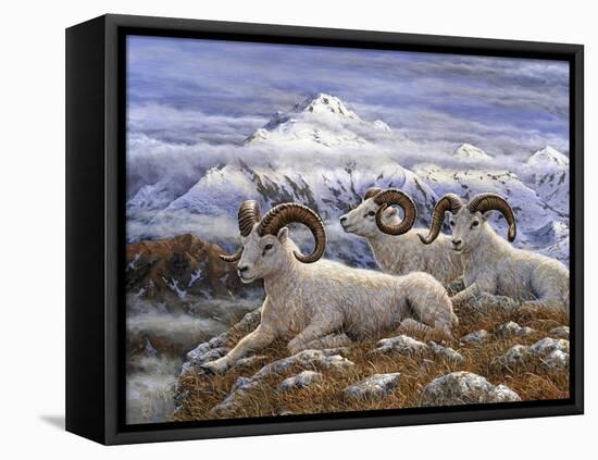 Denali Rams-Jeff Tift-Framed Premier Image Canvas