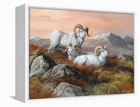 Denali Trio-Trevor V. Swanson-Framed Premier Image Canvas