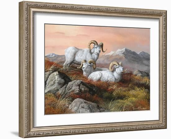 Denali Trio-Trevor V. Swanson-Framed Giclee Print