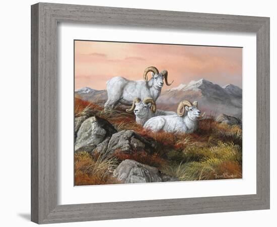 Denali Trio-Trevor V. Swanson-Framed Giclee Print