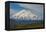 Denali-Steven Schremp-Framed Premier Image Canvas