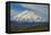 Denali-Steven Schremp-Framed Premier Image Canvas