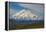 Denali-Steven Schremp-Framed Premier Image Canvas