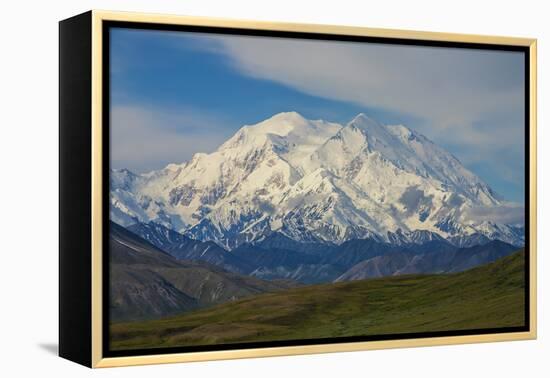 Denali-Steven Schremp-Framed Premier Image Canvas