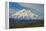 Denali-Steven Schremp-Framed Premier Image Canvas