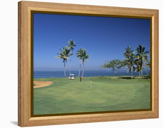 Denarau Golf Course, Danarau, Viti Levu, Fiji-Neil Farrin-Framed Premier Image Canvas