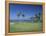 Denarau Golf Course, Danarau, Viti Levu, Fiji-Neil Farrin-Framed Premier Image Canvas