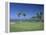 Denarau Golf Course, Danarau, Viti Levu, Fiji-Neil Farrin-Framed Premier Image Canvas