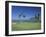 Denarau Golf Course, Danarau, Viti Levu, Fiji-Neil Farrin-Framed Photographic Print